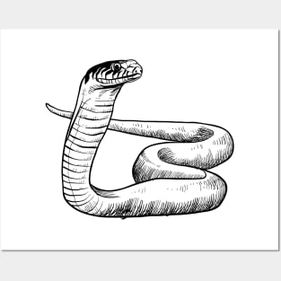 Snake hand drawn Posters and Art